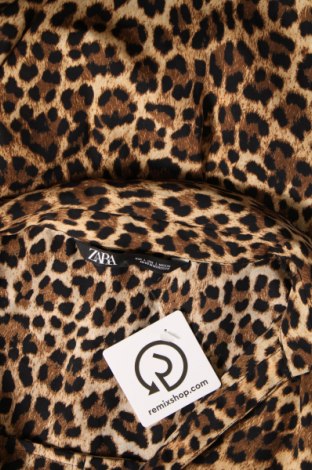 Γυναικεία μπλούζα Zara, Μέγεθος L, Χρώμα Πολύχρωμο, Τιμή 8,35 €