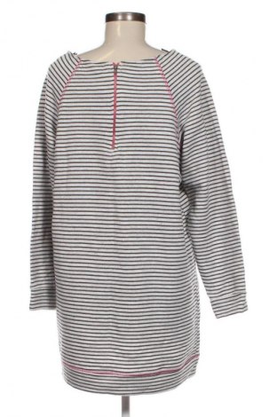Damen Shirt Zizzi, Größe 3XL, Farbe Grau, Preis € 27,14
