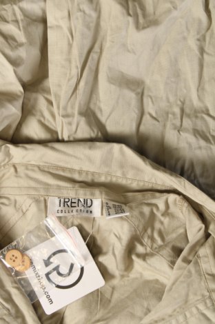 Γυναικείο πουκάμισο, Μέγεθος M, Χρώμα  Μπέζ, Τιμή 12,37 €