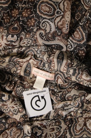 Γυναικείο πουκάμισο Band Of Gypsies, Μέγεθος M, Χρώμα Πολύχρωμο, Τιμή 10,43 €