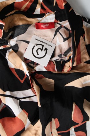 Dámska košeľa  Esprit, Veľkosť L, Farba Viacfarebná, Cena  21,83 €
