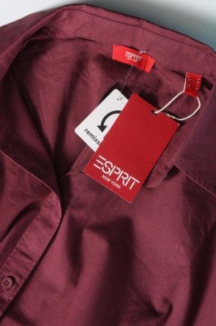 Damska koszula Esprit, Rozmiar M, Kolor Czerwony, Cena 102,62 zł
