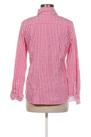 Γυναικείο πουκάμισο Kate Storm, Μέγεθος M, Χρώμα Ρόζ , Τιμή 10,52 €
