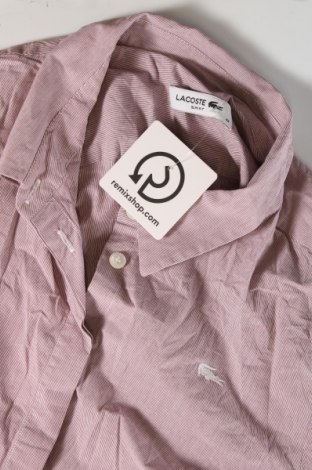 Γυναικείο πουκάμισο Lacoste, Μέγεθος L, Χρώμα Σάπιο μήλο, Τιμή 23,20 €