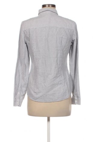Γυναικείο πουκάμισο Montego, Μέγεθος M, Χρώμα Πολύχρωμο, Τιμή 5,41 €