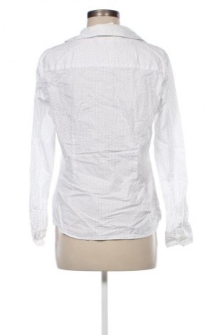 Γυναικείο πουκάμισο Montego, Μέγεθος L, Χρώμα Λευκό, Τιμή 9,28 €