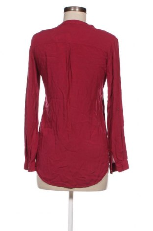 Damenbluse Terranova, Größe S, Farbe Rot, Preis 5,99 €