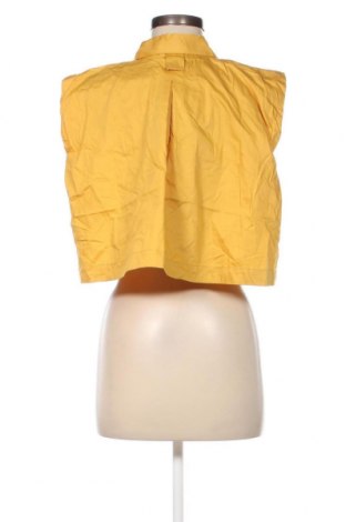 Damenbluse Zara, Größe L, Farbe Gelb, Preis 25,88 €