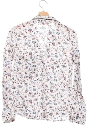 Damenbluse Zara, Größe XS, Farbe Mehrfarbig, Preis 8,30 €
