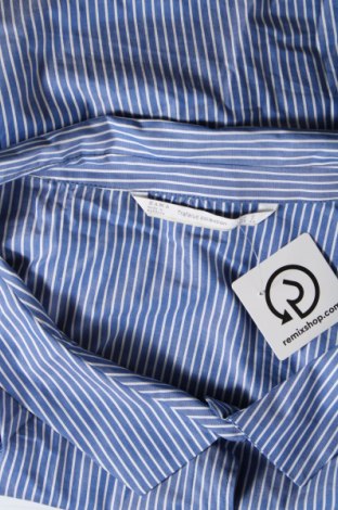 Γυναικείο πουκάμισο Zara Trafaluc, Μέγεθος S, Χρώμα Μπλέ, Τιμή 8,29 €