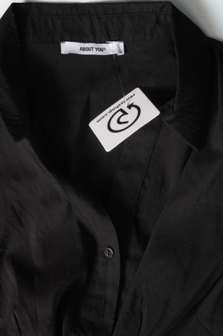 Γυναικείο πουκάμισο-κορμάκι About You, Μέγεθος M, Χρώμα Μαύρο, Τιμή 11,86 €
