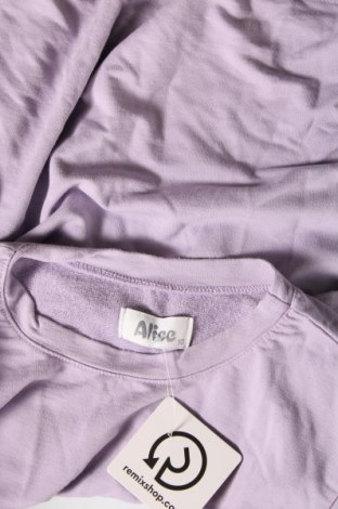 Dámské tričko, Velikost M, Barva Fialová, Cena  104,00 Kč