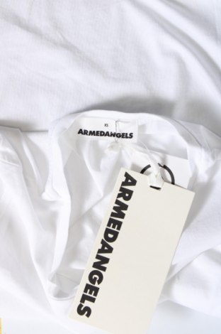 Damen T-Shirt Armedangels, Größe XS, Farbe Weiß, Preis 23,97 €