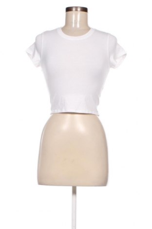 Damen T-Shirt Organic Basics, Größe S, Farbe Weiß, Preis € 11,05