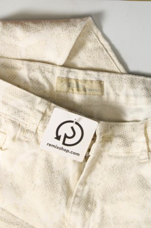 Dámské džíny , Velikost M, Barva Vícebarevné, Cena  254,00 Kč