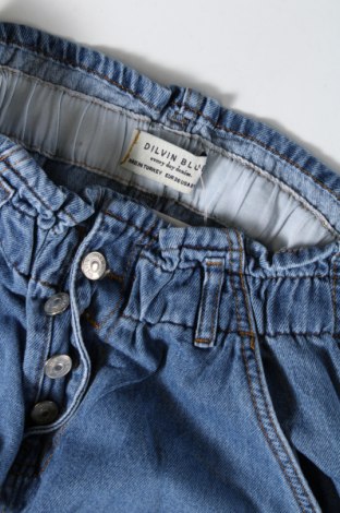 Damen Jeans Dilvin, Größe S, Farbe Blau, Preis 10,09 €