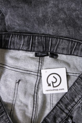 Damen Jeans Esmara, Größe XL, Farbe Grau, Preis € 12,11
