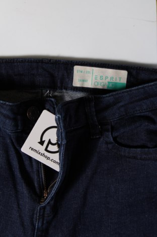 Damen Jeans Esprit, Größe S, Farbe Blau, Preis 14,27 €