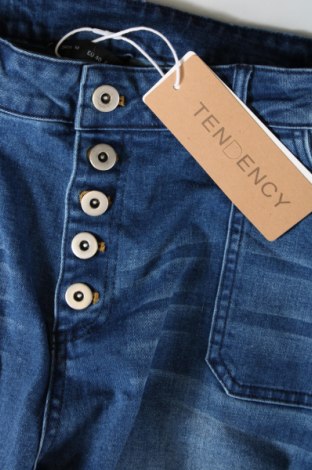 Dámske džínsy  Tendency, Veľkosť L, Farba Modrá, Cena  14,34 €