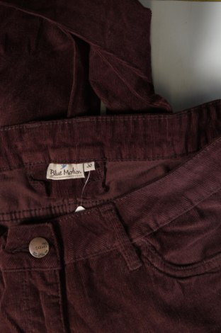 Дамски джинси Blue Motion, Размер M, Цвят Червен, Цена 9,86 лв.