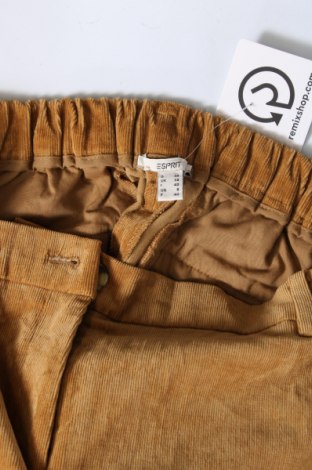 Дамски джинси Esprit, Размер M, Цвят Кафяв, Цена 16,40 лв.