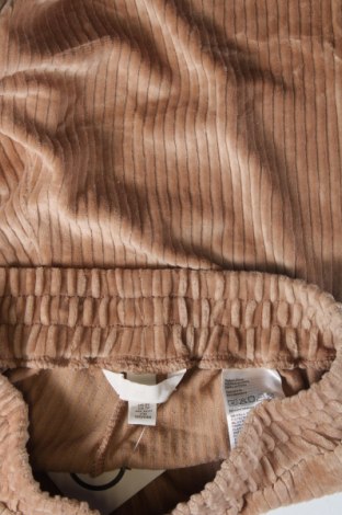 Γυναικείο κοτλέ παντελόνι H&M, Μέγεθος XS, Χρώμα  Μπέζ, Τιμή 8,07 €