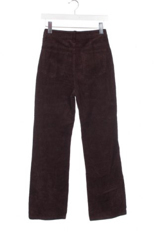 Pantaloni de velvet de femei SHEIN, Mărime XS, Culoare Maro, Preț 31,48 Lei
