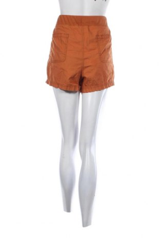 Γυναικείο κοντό παντελόνι A.N.A., Μέγεθος XL, Χρώμα Καφέ, Τιμή 6,35 €