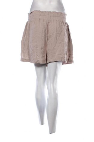 Damen Shorts Bluenotes, Größe XL, Farbe Beige, Preis 7,93 €