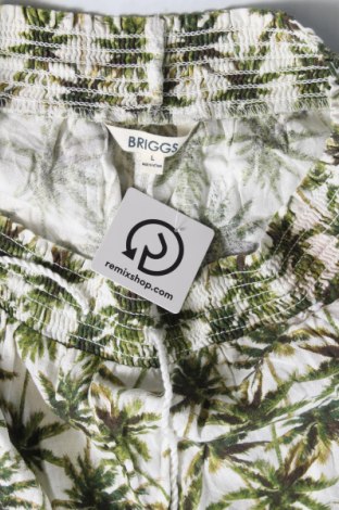 Дамски къс панталон Briggs, Размер L, Цвят Зелен, Цена 11,40 лв.