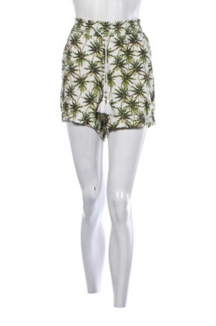 Γυναικείο κοντό παντελόνι Briggs, Μέγεθος L, Χρώμα Πράσινο, Τιμή 6,35 €
