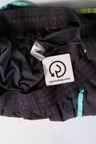 Damen Shorts Champion, Größe XL, Farbe Grau, Preis 6,96 €