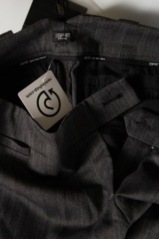 Γυναικείο κοντό παντελόνι Esprit, Μέγεθος S, Χρώμα Γκρί, Τιμή 23,63 €