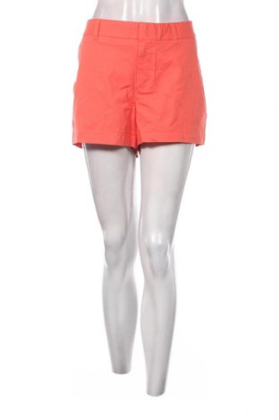 Damen Shorts Gap, Größe XL, Farbe Rosa, Preis 25,88 €