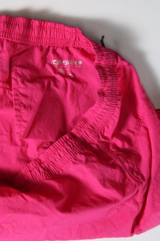 Γυναικείο κοντό παντελόνι Icepeak, Μέγεθος M, Χρώμα Ρόζ , Τιμή 10,54 €
