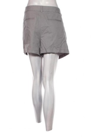 Damen Shorts Loft, Größe XXL, Farbe Grau, Preis € 17,37