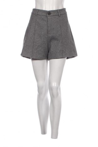Γυναικείο κοντό παντελόνι Miss, Μέγεθος XL, Χρώμα Γκρί, Τιμή 11,75 €