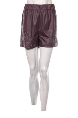 Γυναικείο κοντό παντελόνι Pinko, Μέγεθος L, Χρώμα Βιολετί, Τιμή 51,03 €