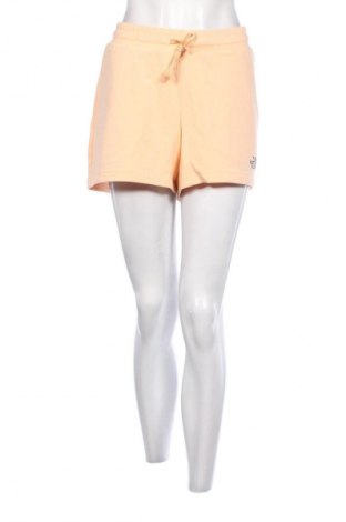 Γυναικείο κοντό παντελόνι The North Face, Μέγεθος XL, Χρώμα Πορτοκαλί, Τιμή 26,29 €
