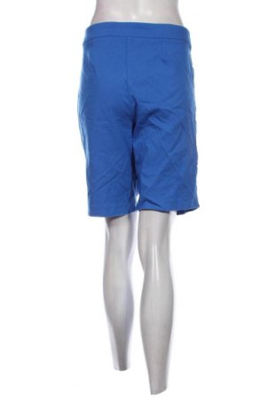 Damen Shorts Time and tru, Größe XL, Farbe Blau, Preis € 13,22