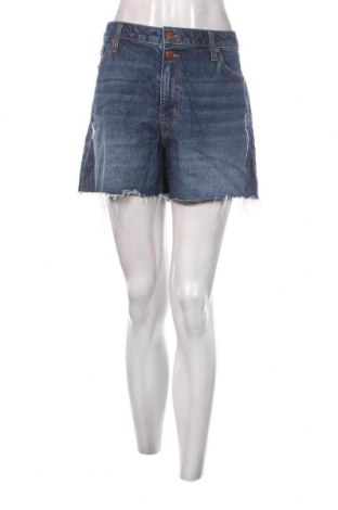 Damen Shorts Universal Thread, Größe XL, Farbe Blau, Preis € 7,93
