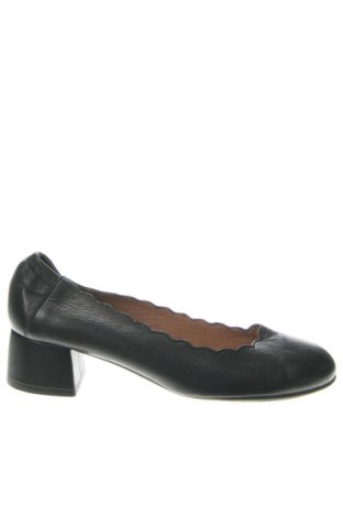 Damenschuhe Wonders, Größe 37, Farbe Schwarz, Preis 46,45 €