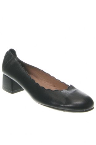 Дамски обувки Wonders, Размер 37, Цвят Черен, Цена 66,75 лв.