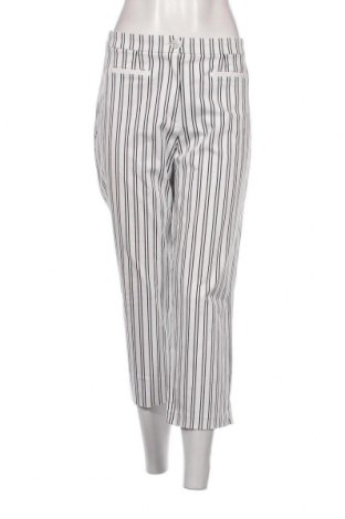 Dámské kalhoty , Velikost XL, Barva Vícebarevné, Cena  240,00 Kč