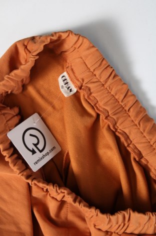 Dámské kalhoty , Velikost L, Barva Oranžová, Cena  231,00 Kč