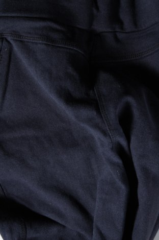 Γυναικείο παντελόνι, Μέγεθος L, Χρώμα Μπλέ, Τιμή 8,90 €
