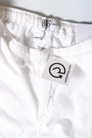 Γυναικείο παντελόνι BDG, Μέγεθος S, Χρώμα Λευκό, Τιμή 21,57 €