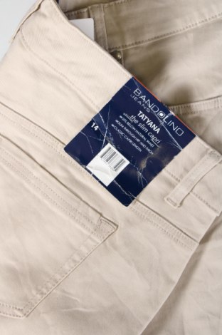 Γυναικείο παντελόνι Bandolino, Μέγεθος XL, Χρώμα  Μπέζ, Τιμή 13,94 €