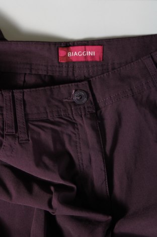 Дамски панталон Biaggini, Размер L, Цвят Лилав, Цена 17,60 лв.