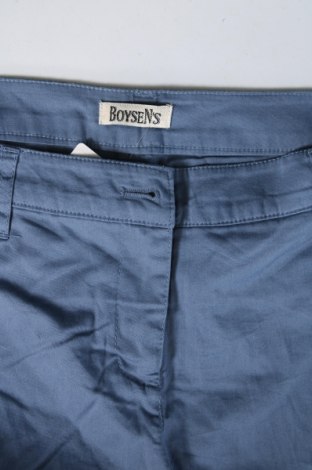 Damenhose Boysen's, Größe L, Farbe Blau, Preis 20,18 €